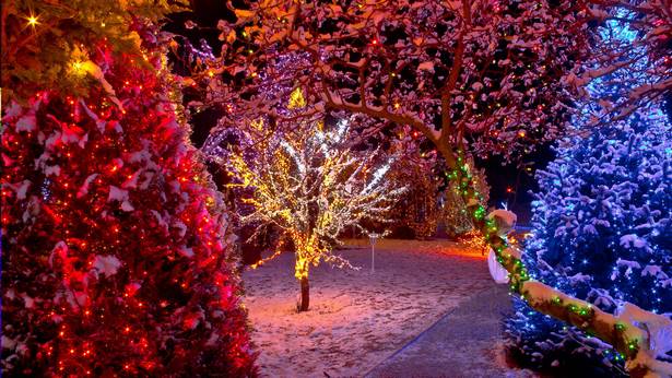 led-exterior-christmas-lights-51_8 Лед екстериорни коледни светлини