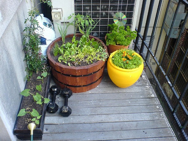 making-small-garden-at-home-44_16 Създаване на малка градина у дома