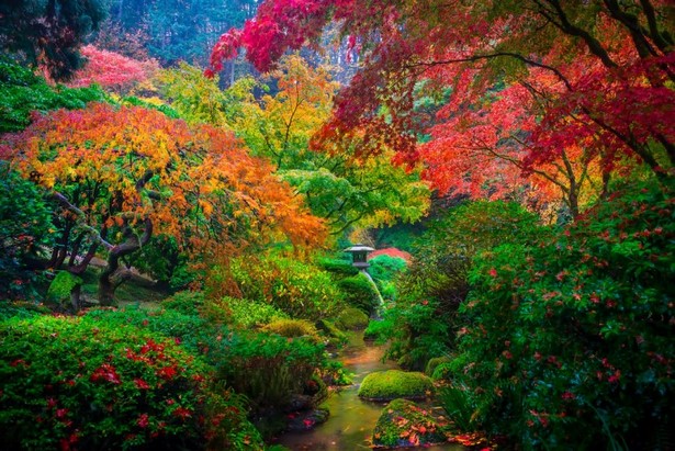 most-beautiful-gardens-in-japan-79_2 Най-красивите градини в Япония