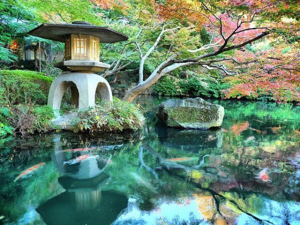 most-beautiful-gardens-in-japan-79_8 Най-красивите градини в Япония