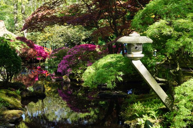 my-japanese-gardens-26_7 Моите японски градини