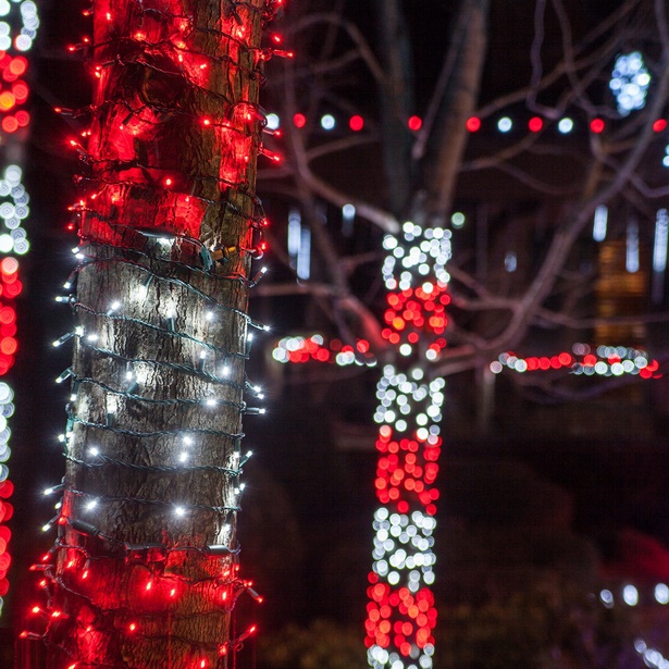 outdoor-christmas-light-display-ideas-05 Открит Коледа светлина дисплей идеи