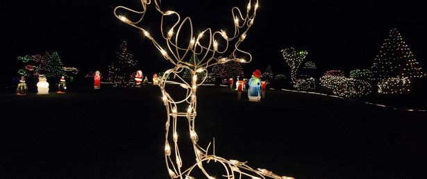 outdoor-christmas-light-displays-92_4 Външни коледни светлинни дисплеи