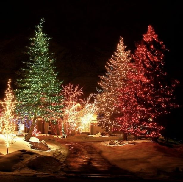 outdoor-christmas-lights-ideas-for-trees-86 Външни коледни светлини идеи за дървета