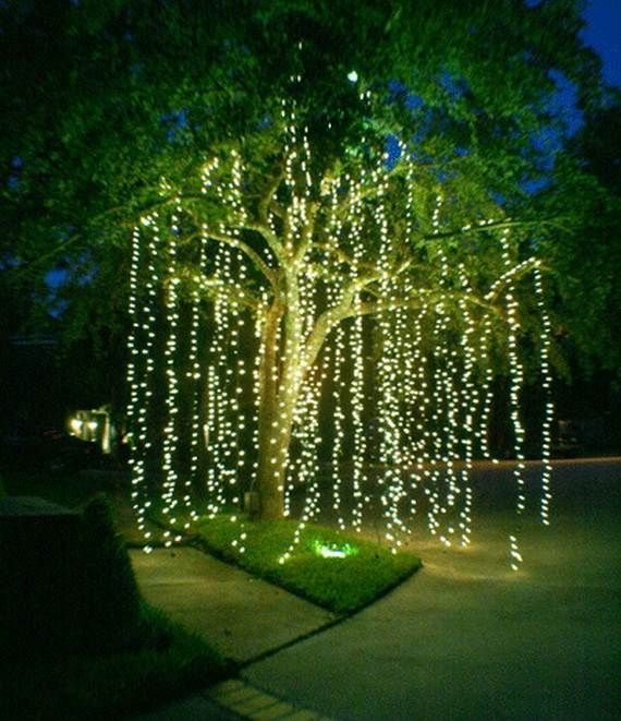 outdoor-christmas-lights-ideas-for-trees-86_11 Външни коледни светлини идеи за дървета