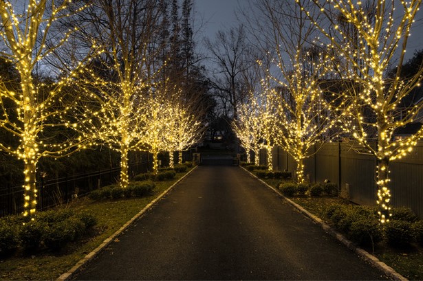 outdoor-christmas-lights-ideas-for-trees-86_3 Външни коледни светлини идеи за дървета