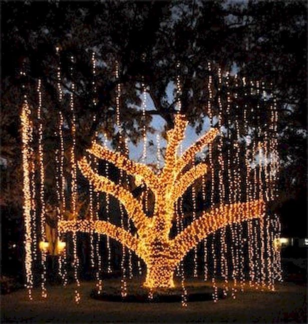 outdoor-christmas-lights-ideas-for-trees-86_8 Външни коледни светлини идеи за дървета