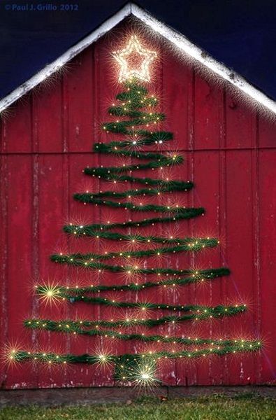 outdoor-christmas-tree-ideas-71_12 Идеи за открито коледно дърво