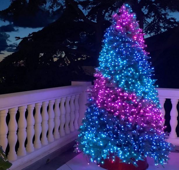 outdoor-christmas-tree-lights-92_9 Открито коледно дърво светлини