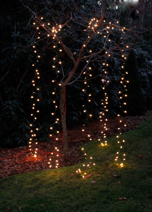 outside-decorative-lights-72_2 Външни декоративни светлини
