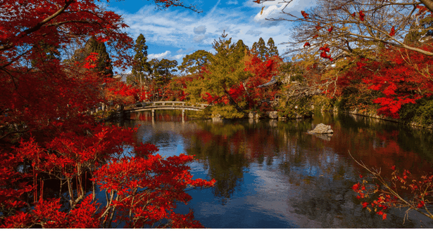 quick-and-easy-japanese-gardens-47 Бързи и лесни японски градини
