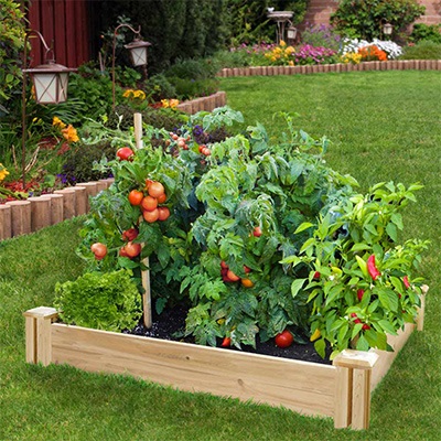 raised-garden-supplies-06_5 Повдигнати градински консумативи