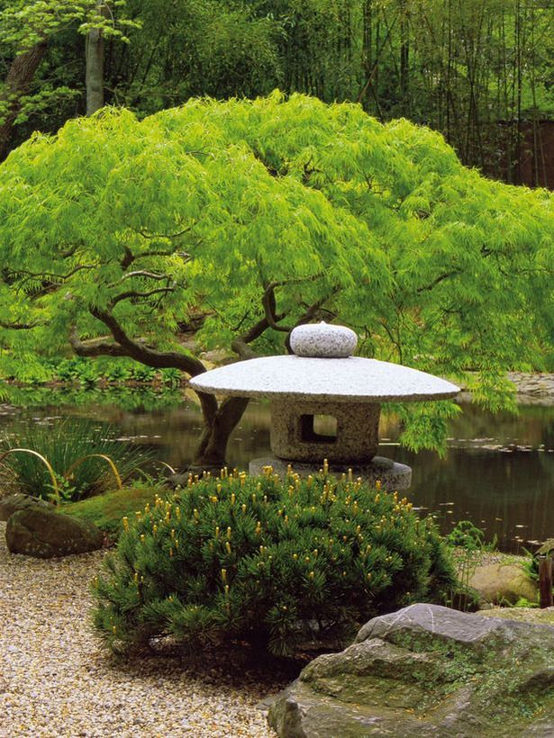 small-japanese-gardens-images-74_16 Снимки на малки японски градини