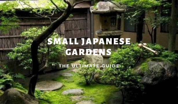 small-japanese-gardens-images-74_7 Снимки на малки японски градини