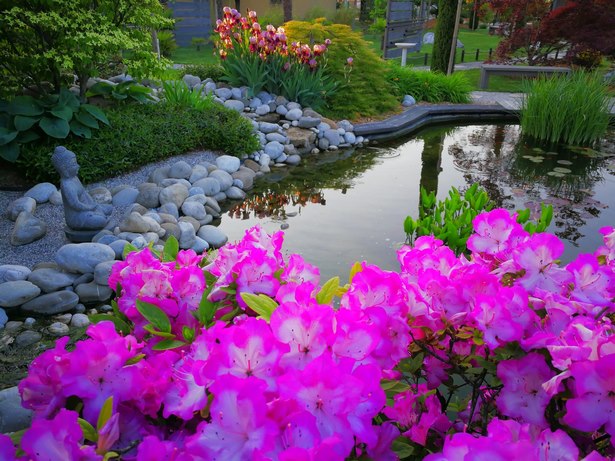 starting-a-japanese-garden-25 Стартиране на японска градина
