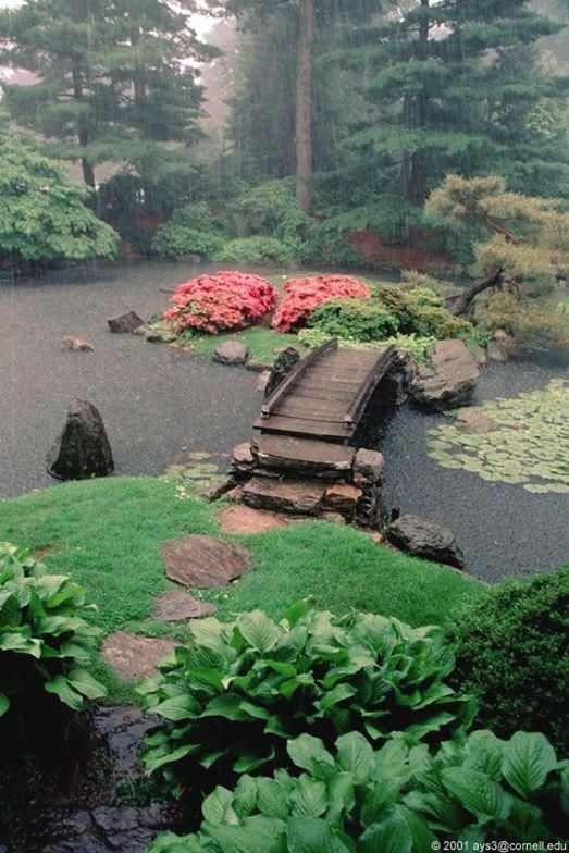 starting-a-japanese-garden-25_6 Стартиране на японска градина