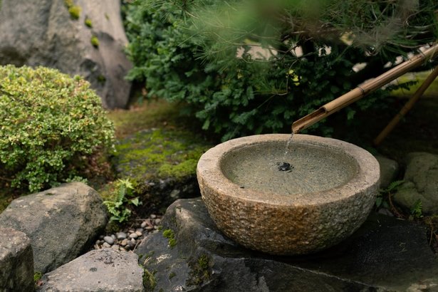 starting-a-japanese-garden-25_7 Стартиране на японска градина