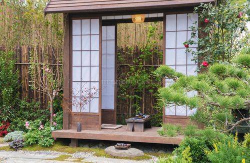 traditional-japanese-garden-plants-22_12 Традиционни японски градински растения