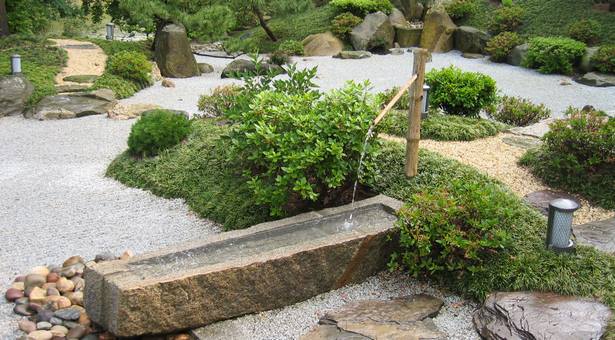 traditional-japanese-garden-plants-22_3 Традиционни японски градински растения