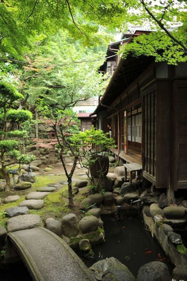 traditional-japanese-garden-plants-22_4 Традиционни японски градински растения