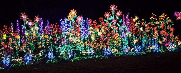 unique-christmas-lights-36_3 Уникални коледни светлини