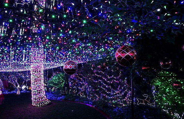 unusual-christmas-lights-76_8 Необичайни коледни светлини