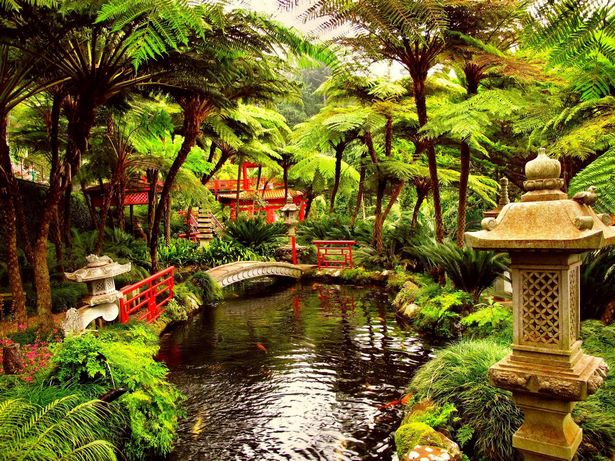 zen-garden-designs-free-41_11 Дзен градина дизайни безплатно