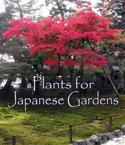 zen-garden-plants-list-80_9 Дзен градински растения списък