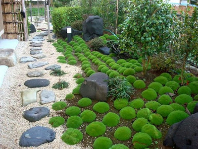 10-great-ideas-for-small-gardens-69_16 10 идеи за малки градини