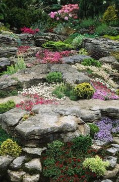 alpine-rock-garden-49_2 Алпийска скална градина