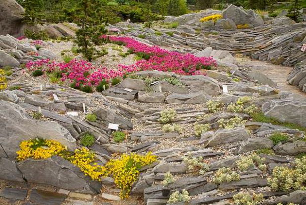 alpine-rock-garden-49_6 Алпийска скална градина
