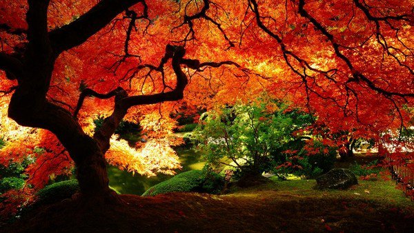 amazing-japanese-gardens-03_13 Невероятни японски градини