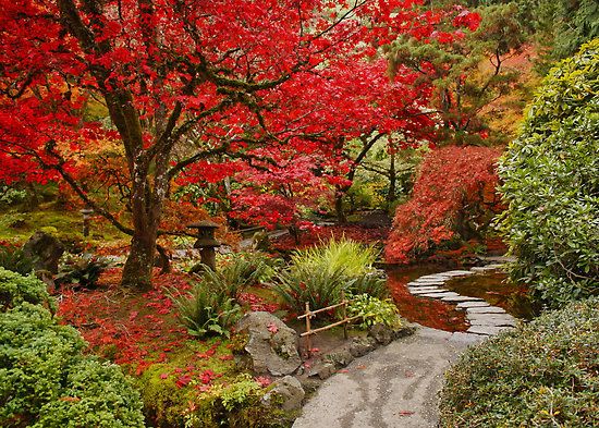 amazing-japanese-gardens-03_15 Невероятни японски градини