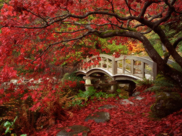 amazing-japanese-gardens-03_16 Невероятни японски градини