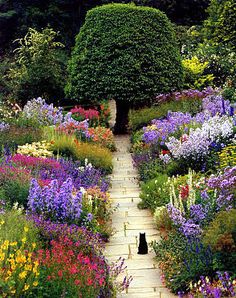 an-english-garden-50_18 Английска градина