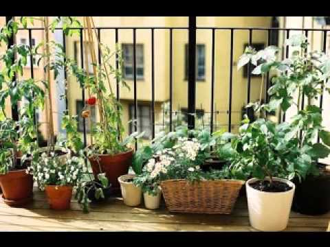 apartment-balcony-garden-ideas-93_18 Апартамент балкон градински идеи