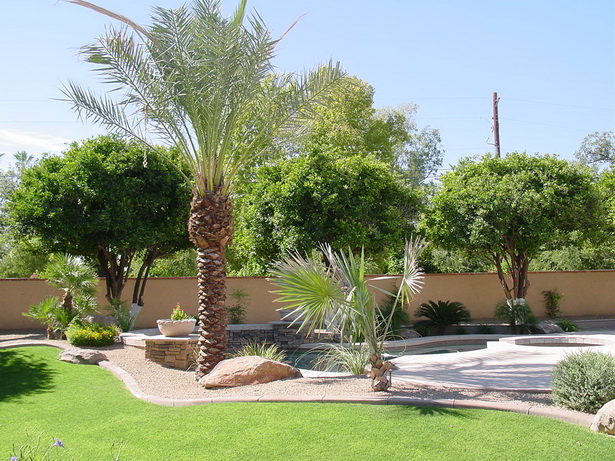 arizona-style-landscaping-ideas-85_11 Аризона стил идеи за озеленяване