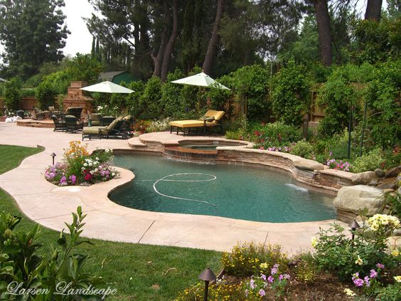 around-pool-landscaping-79_18 Около басейна озеленяване