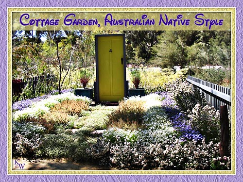 australian-cottage-garden-99_16 Австралийска вила градина