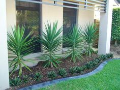 australian-front-garden-design-ideas-48_11 Австралийски идеи за дизайн на предната градина