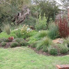 australian-front-garden-design-ideas-48_15 Австралийски идеи за дизайн на предната градина
