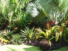 australian-tropical-garden-design-22_12 Австралийски тропически дизайн на градината