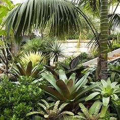 australian-tropical-garden-design-22_14 Австралийски тропически дизайн на градината