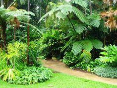 australian-tropical-garden-design-22_7 Австралийски тропически дизайн на градината