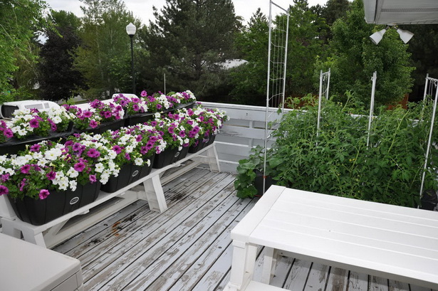 backyard-cheap-landscaping-ideas-52_16 Заден двор евтини идеи за озеленяване