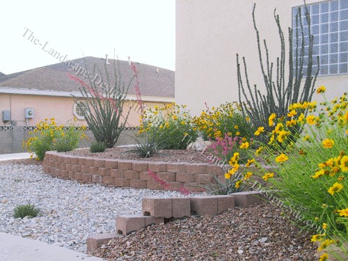 backyard-desert-landscape-designs-74 Заден двор пустинен ландшафтен дизайн
