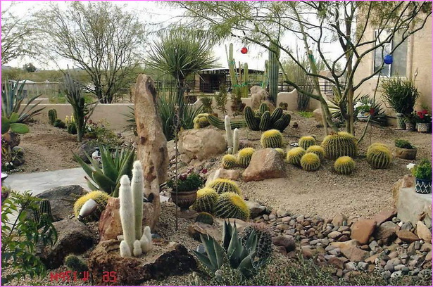 backyard-desert-landscaping-pictures-69 Задния двор пустиня озеленяване снимки