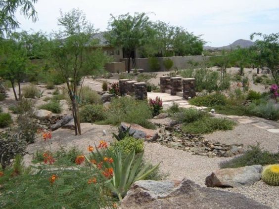 backyard-desert-landscaping-pictures-69_19 Задния двор пустиня озеленяване снимки
