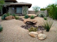 backyard-desert-landscaping-69_6 Дворно пустинно озеленяване