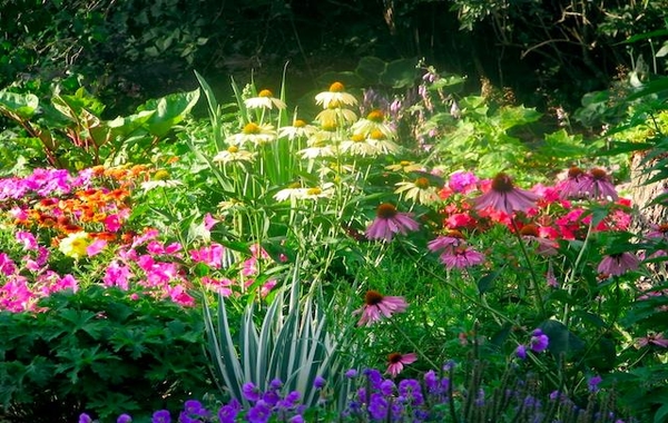 backyard-flower-garden-ideas-74_7 Идеи за цветна градина в задния двор